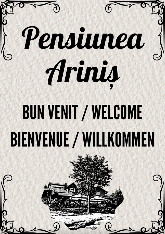 Bun venit / Welcome